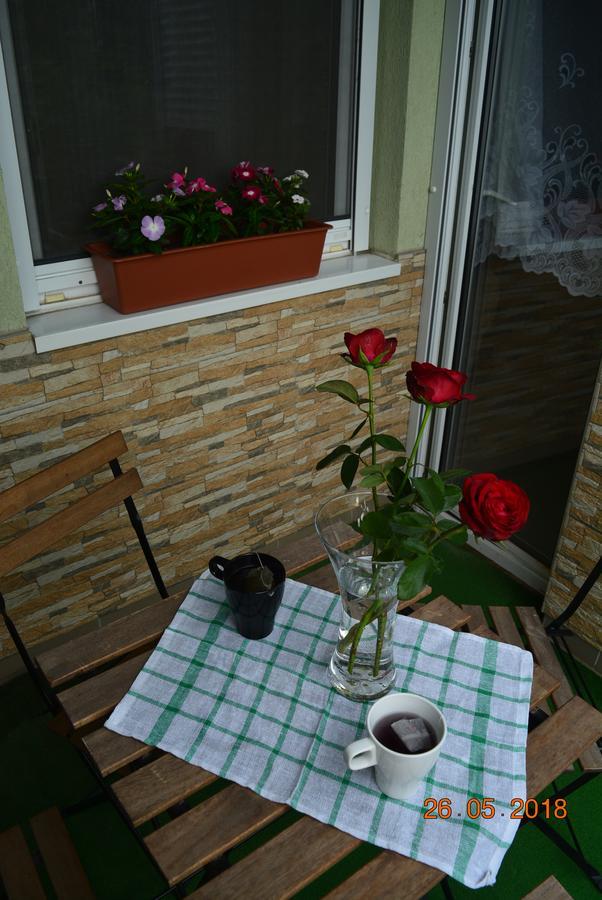 Berettyo Central Apartment Berettyóújfalu エクステリア 写真